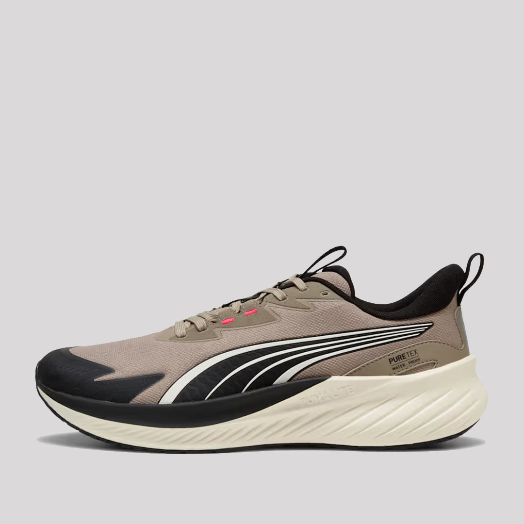 POUNCE LITE 2 PTX