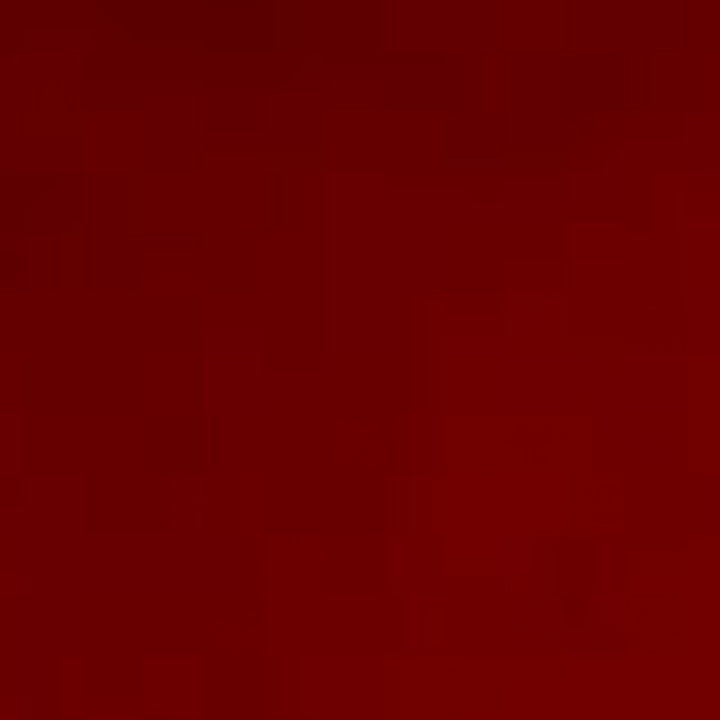 BLUCHER PIEL PL INVIERNO