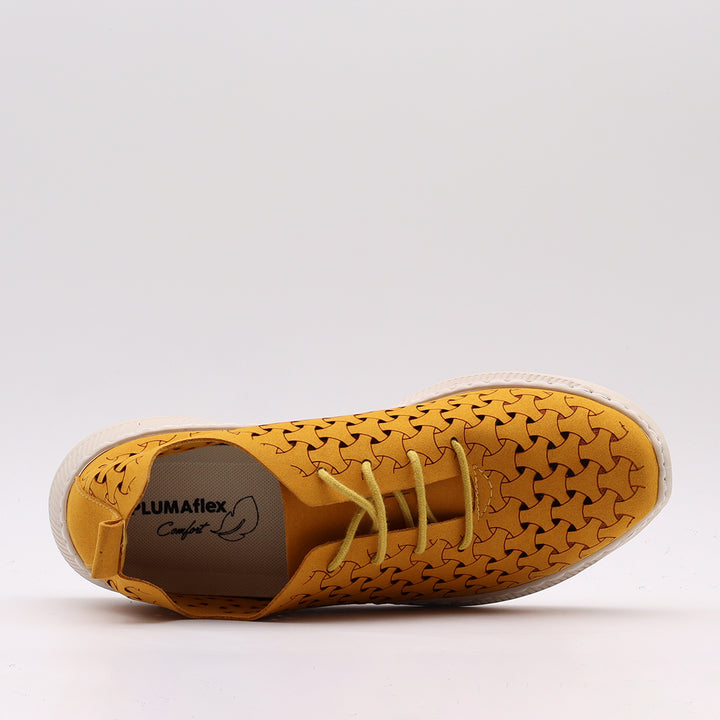 BLUCHER CALADO