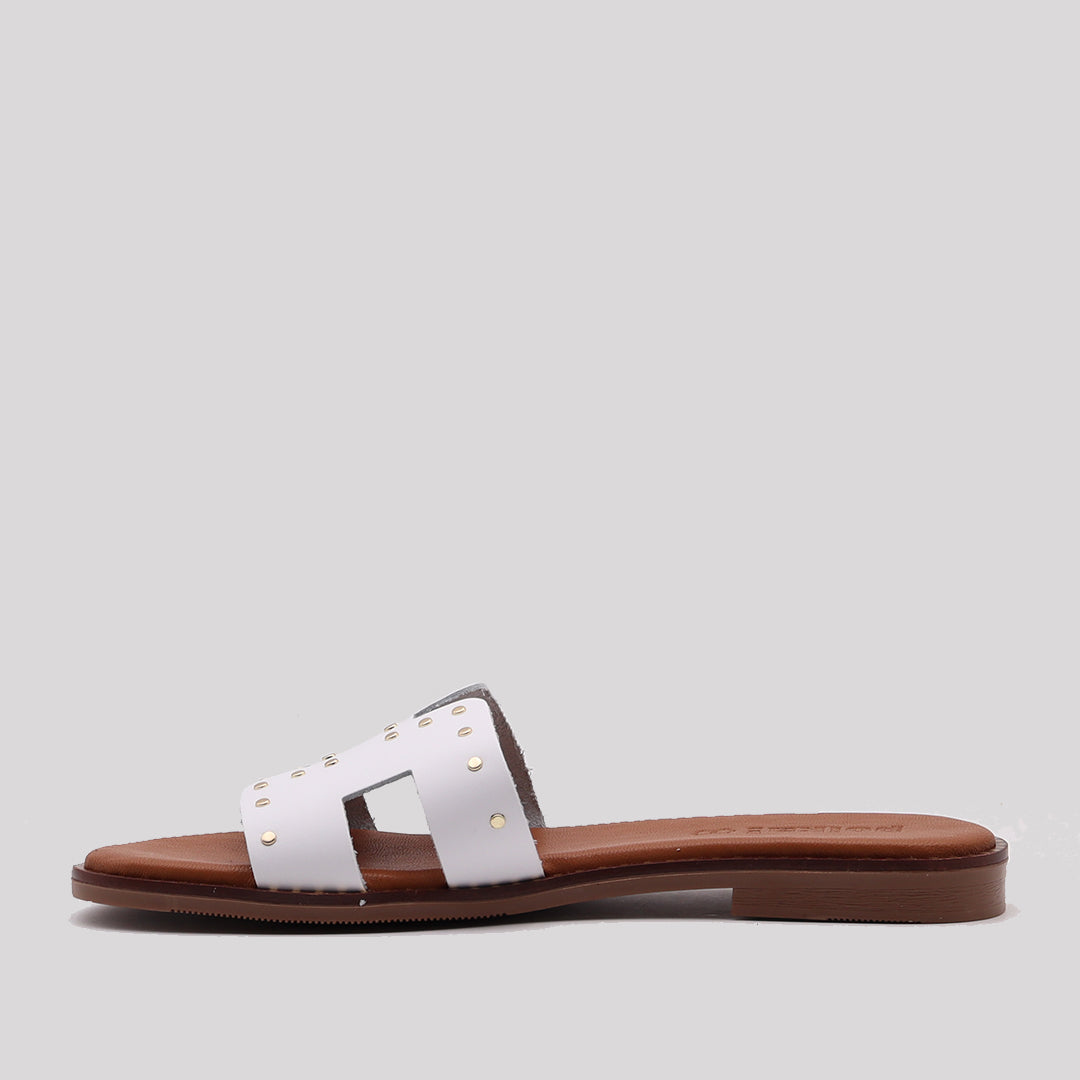 PINKY TACHAS PL