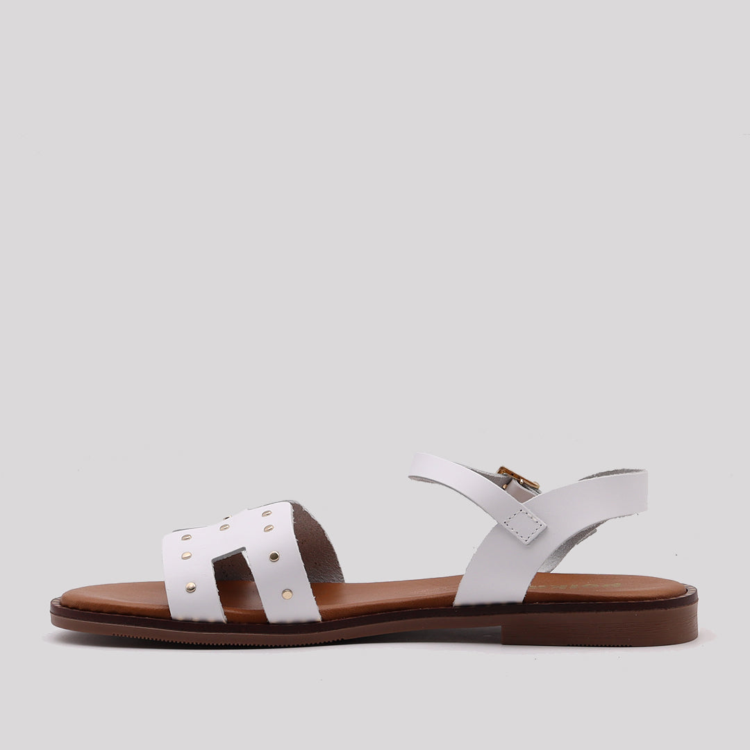 VAQ. TACHAS