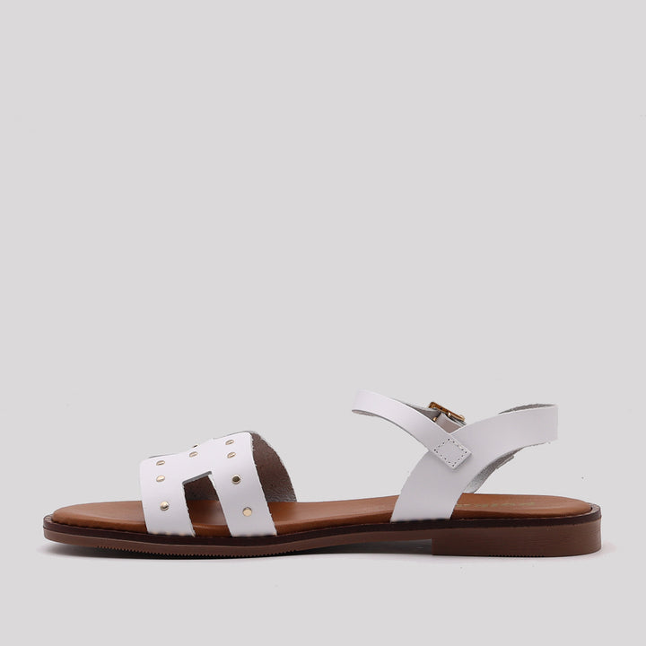 VAQ. TACHAS