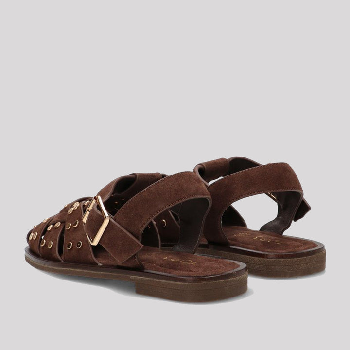 CANGREJERA TACHAS